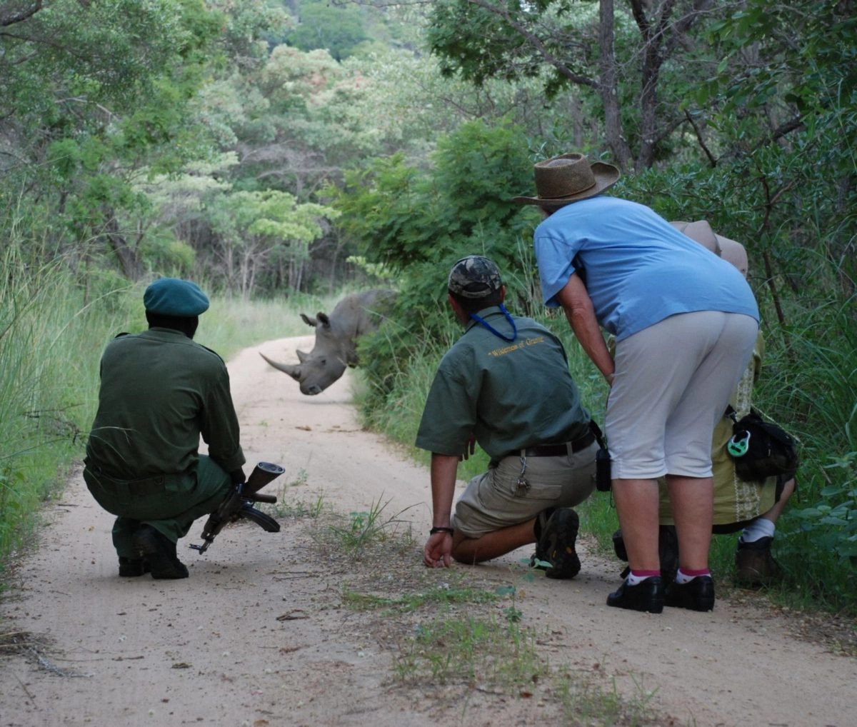 Rhino Track and Trail
